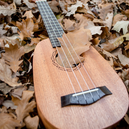 Event image OSNGUPL Ukes
